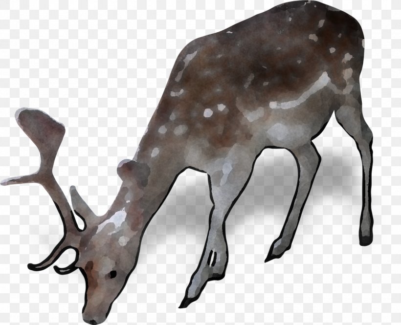 Reindeer, PNG, 1280x1039px, Reindeer, Antler, Deer, Elk, Fawn Download Free