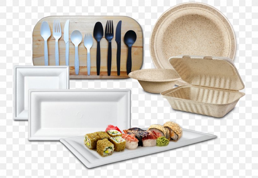 Tableware Paper Disposable Box, PNG, 1245x862px, Tableware, Bento, Box, Cutlery, Dishware Download Free