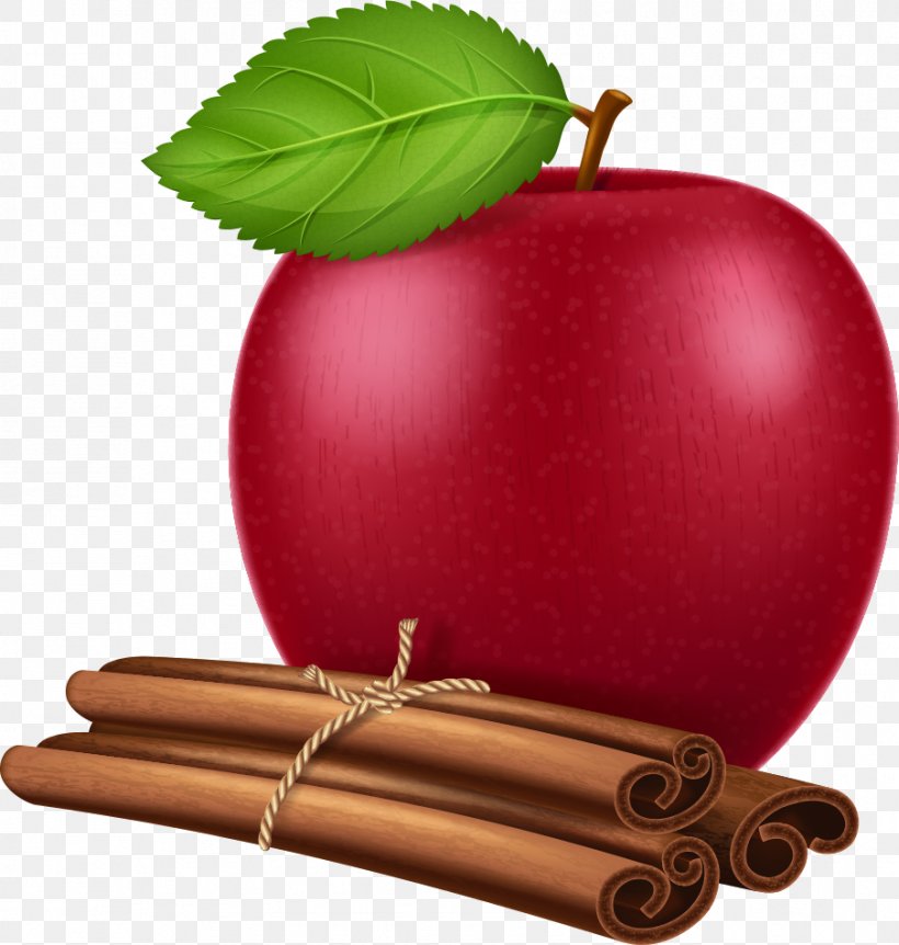 Apple True Cinnamon Tree Illustration, PNG, 904x951px, Apple, Cinnamon, Drawing, Flavor, Food Download Free