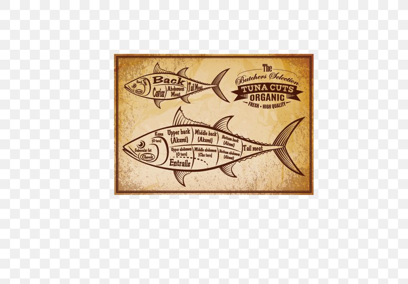 Albacore Atlantic Bluefin Tuna Clip Art, PNG, 639x571px, Albacore, Atlantic Bluefin Tuna, Brand, Calligraphy, Fish Download Free