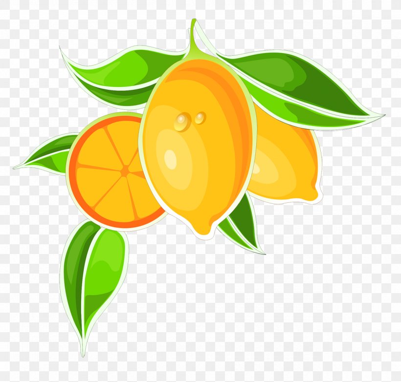 Bitter Orange Cartoon Clip Art, PNG, 1280x1221px, Bitter Orange, Auglis, Cartoon, Citrus, Decoupage Download Free