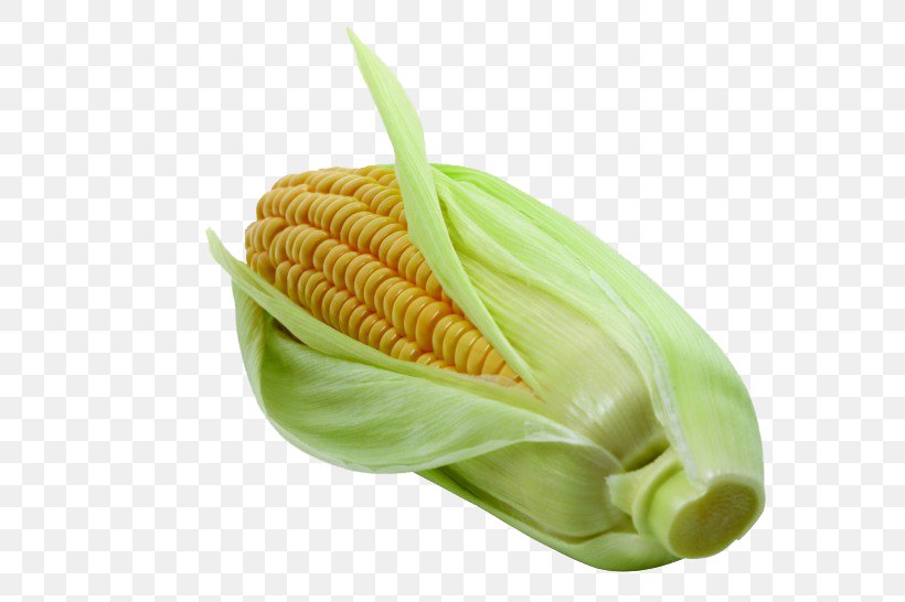 Corn On The Cob Vegetable Maize Napa Cabbage, PNG, 820x546px, Corn On The Cob, Chinese Cabbage, Commodity, Corncob, Eating Download Free