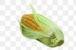 Corn - Corn On The Cob Vegetable Maize Napa Cabbage PNG