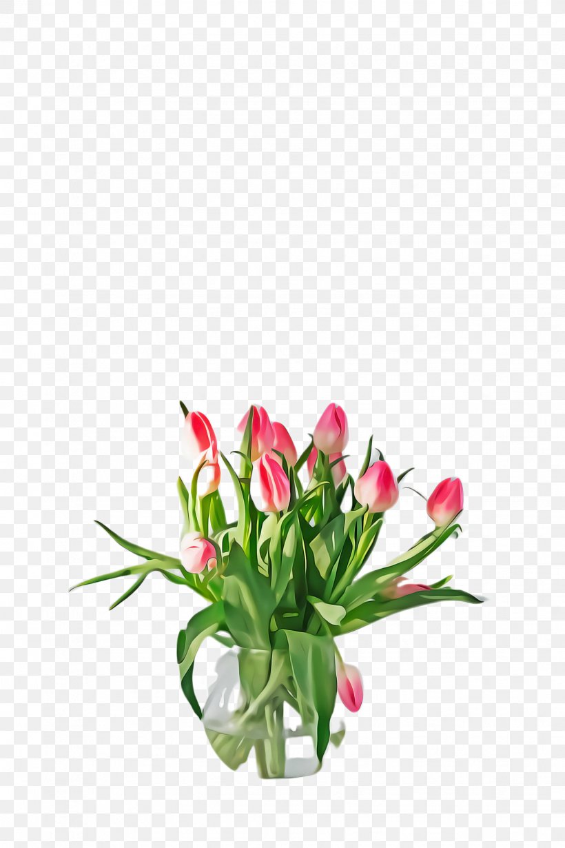 Flowers Background, PNG, 1632x2448px, Tulip, Anthurium, Blossom, Bouquet, Bud Download Free
