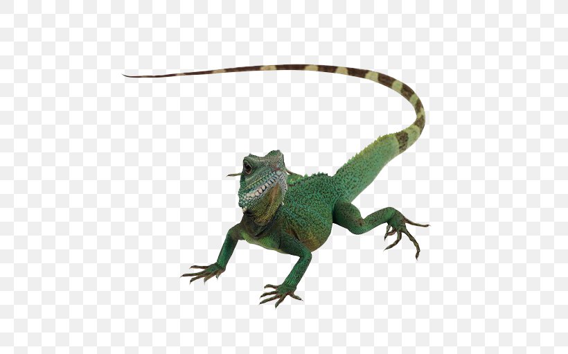 Lizard Reptile Chameleons Komodo Dragon, PNG, 600x511px, Lizard, Agamidae, Chameleon, Chameleons, Display Resolution Download Free