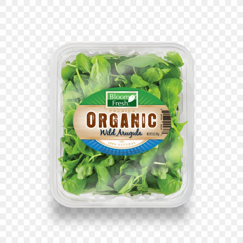 Romaine Lettuce Caesar Salad Leaf Vegetable Arugula, PNG, 1024x1024px, Romaine Lettuce, Arugula, Baby, Caesar Salad, Food Download Free