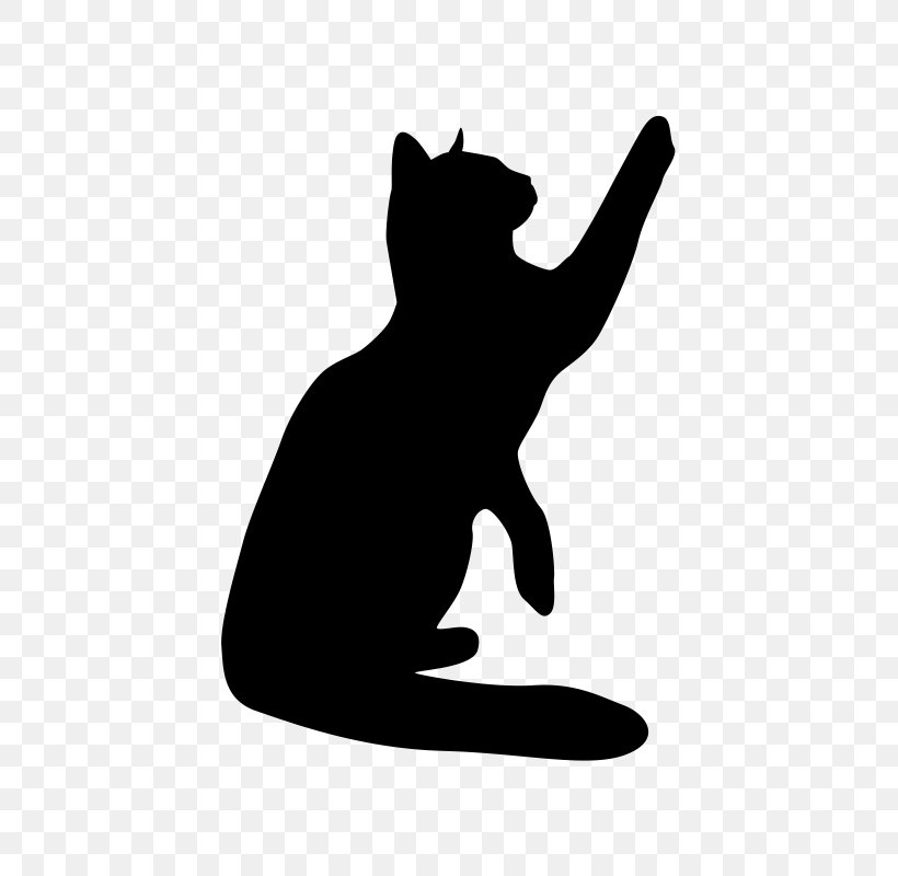 Cat Sticker Wall Decal, PNG, 800x800px, Cat, Black, Black And White, Black Cat, Brand Download Free