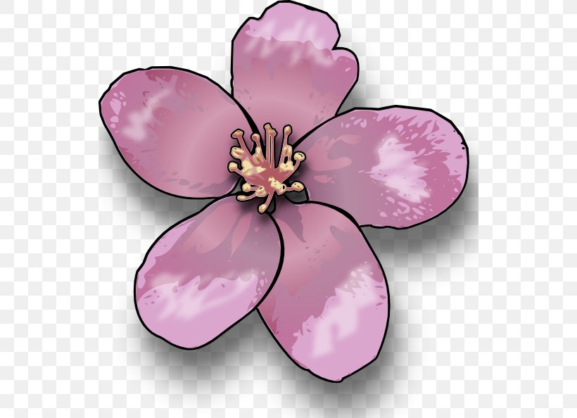 Cherry Blossom Saturn Peach Clip Art, PNG, 540x594px, Blossom, Apple, Cherry, Cherry Blossom, Flower Download Free