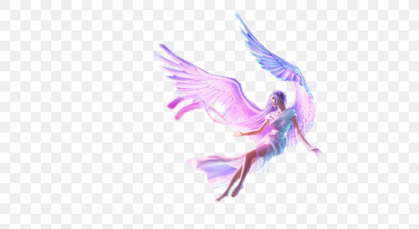 Fairy Desktop Wallpaper New School, PNG, 600x450px, Fairy, Angel, Drawing, Feather, Fictional Character Download Free