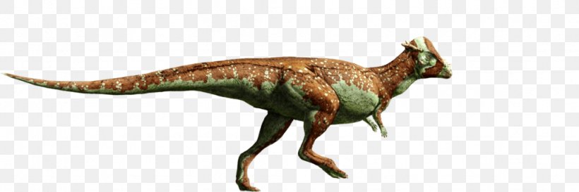 Tyrannosaurus Pachycephalosaurus Triceratops Stegosaurus Dinosaur, PNG, 1024x342px, Tyrannosaurus, Animal Figure, Ankylosaurus, Dinosaur, Extinction Download Free