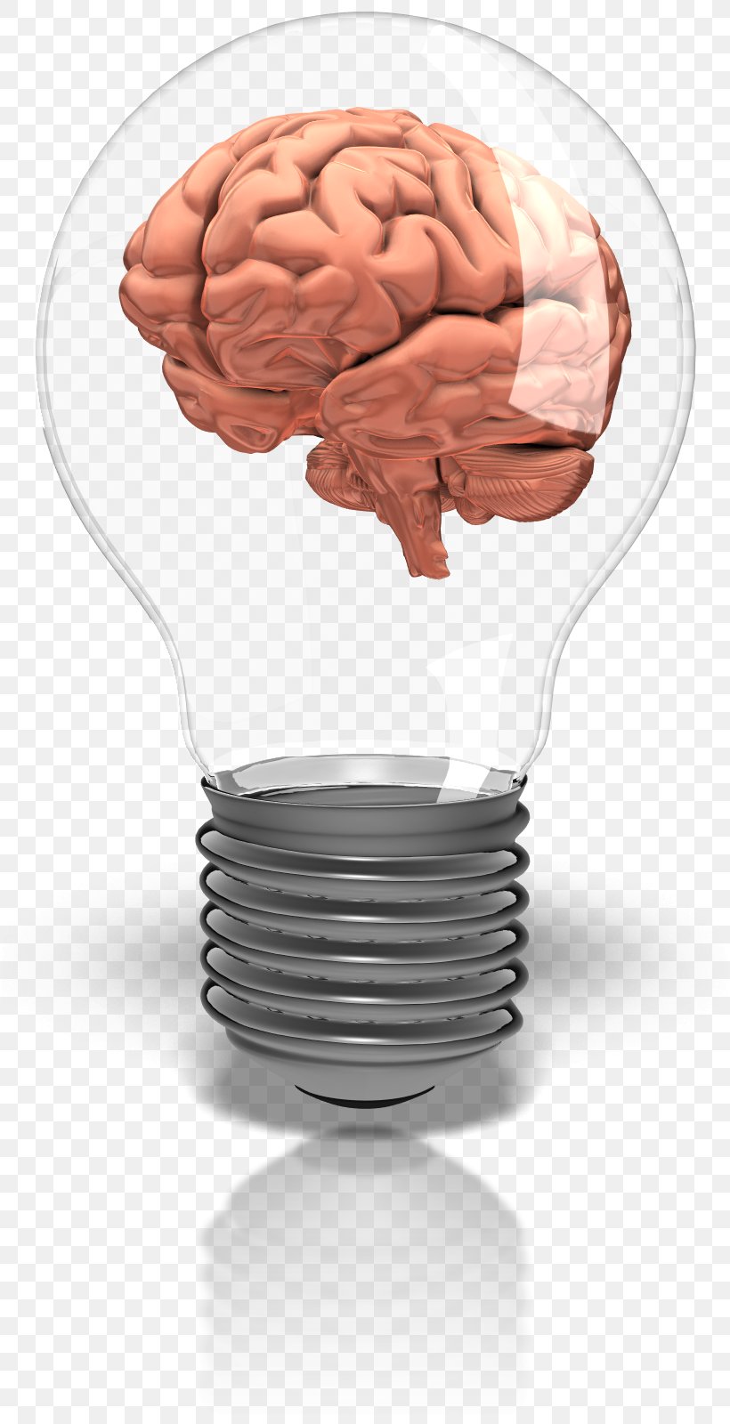 Incandescent Light Bulb Animation Information Brain, PNG, 815x1600px, Watercolor, Cartoon, Flower, Frame, Heart Download Free