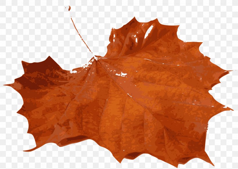 Autumn Leaf Color Clip Art, PNG, 2400x1706px, Autumn Leaf Color, Autumn, Color, Leaf, Maple Download Free