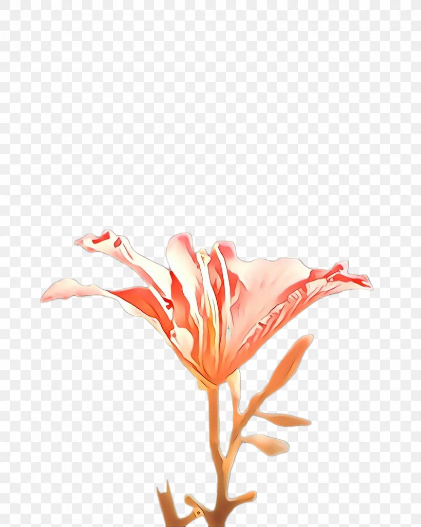 Red Flower Plant Flowering Plant Petal, PNG, 1787x2236px, Cartoon, Flower, Flowering Plant, Petal, Plant Download Free