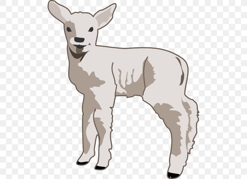 Sheep Goat Clip Art, PNG, 504x595px, Sheep, Black Sheep, Cattle Like Mammal, Cow Goat Family, Deer Download Free