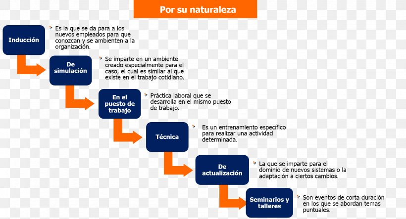 Teacher Education Programa De Capacitación Empresa Pedagogy Learning, PNG, 1945x1051px, Teacher Education, Area, Brand, Computer Program, Diagram Download Free