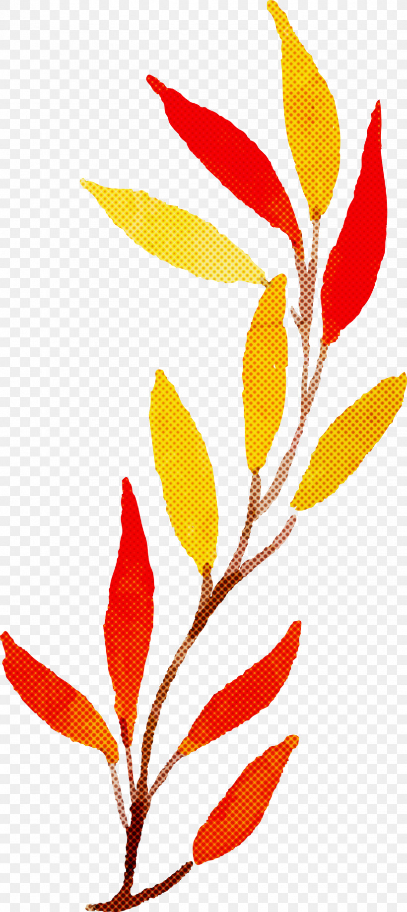 Autumn Leaf Colorful Leaf, PNG, 1338x3000px, Autumn Leaf, Autumn, Colorful Leaf, Flora, Flower Download Free