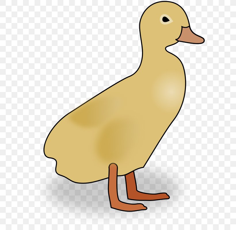 Duck Clip Art, PNG, 609x800px, Duck, Beak, Bird, Blog, Cartoon Download Free