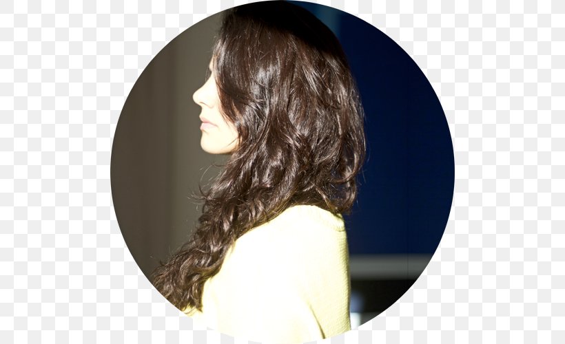 Long Hair Hair Coloring Black Hair Brown Hair, PNG, 500x500px, Long Hair, Black, Black Hair, Brown, Brown Hair Download Free