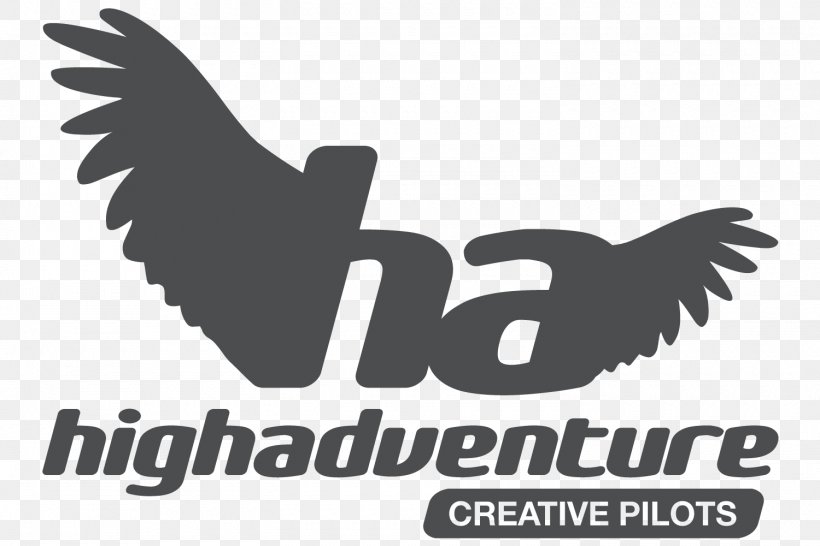 Paragliding High Adventure Wanaka Parachute, PNG, 1500x1000px, Paragliding, Adventure, Beak, Bird, Bird Of Prey Download Free