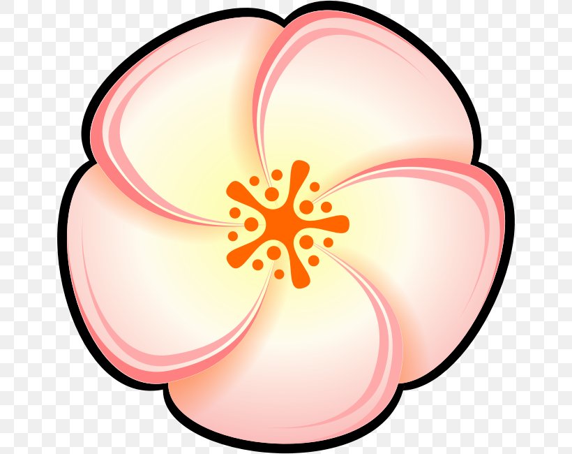 Peach Color Clip Art, PNG, 656x650px, Peach, Artwork, Color, Drawing, Flower Download Free