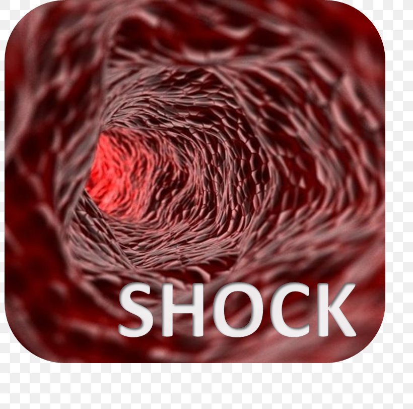 Perfusion Blood Vessel Septic Shock Endothelium, PNG, 802x811px, Watercolor, Cartoon, Flower, Frame, Heart Download Free