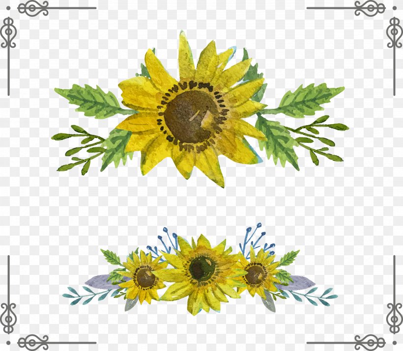 Common Sunflower Euclidean Vector Download, PNG, 2463x2149px, Common Sunflower, Cut Flowers, Daisy Family, Field, Flora Download Free