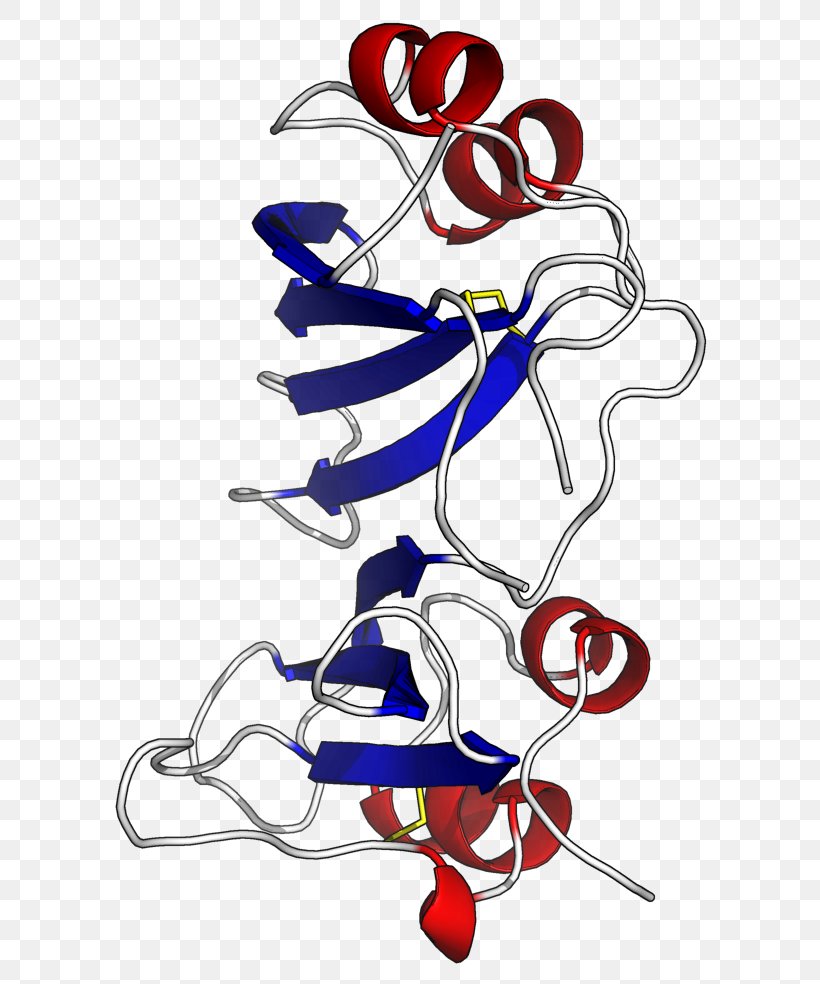 Beta-lactamase Inhibitor Protein β-Lactamase Inhibitor Enzyme Inhibitor, PNG, 633x984px, Watercolor, Cartoon, Flower, Frame, Heart Download Free