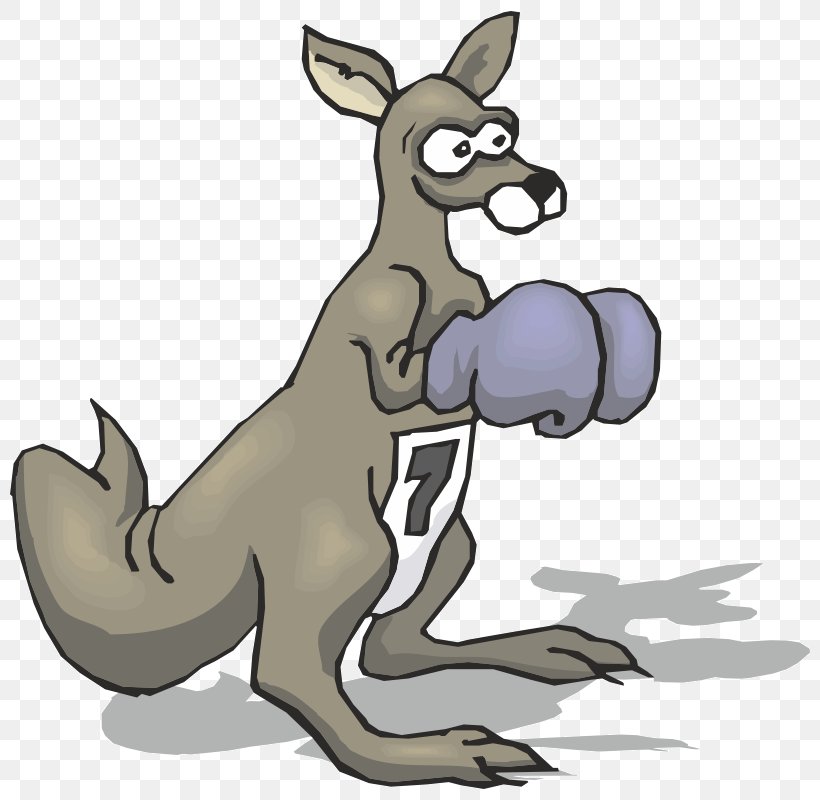 Boxing Kangaroo Boxing Glove Red Kangaroo, PNG, 800x800px, Boxing Kangaroo, Animal, Animal Figure, Australia, Boxing Download Free