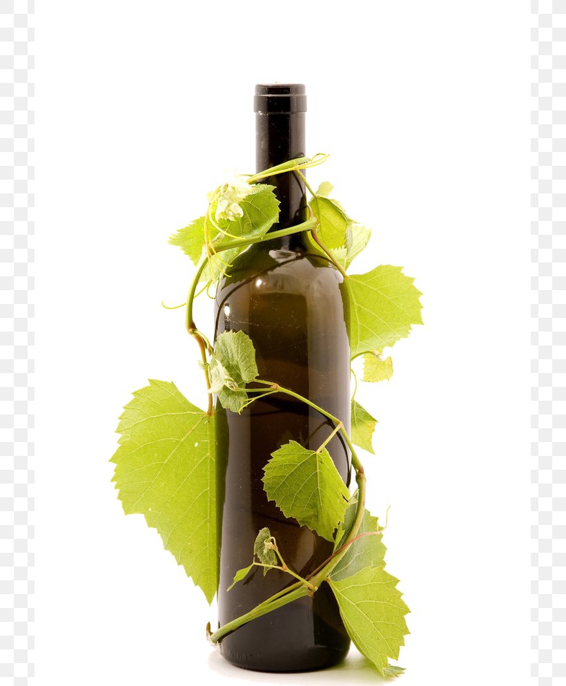 Фото бутылки вина на белом фоне