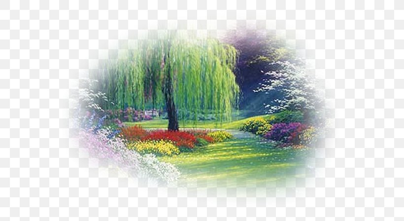 Weeping Willow Weeping Tree Garden Shrub, PNG, 600x448px, Weeping Willow, Burning Bush, Energy, Garden, Grass Download Free