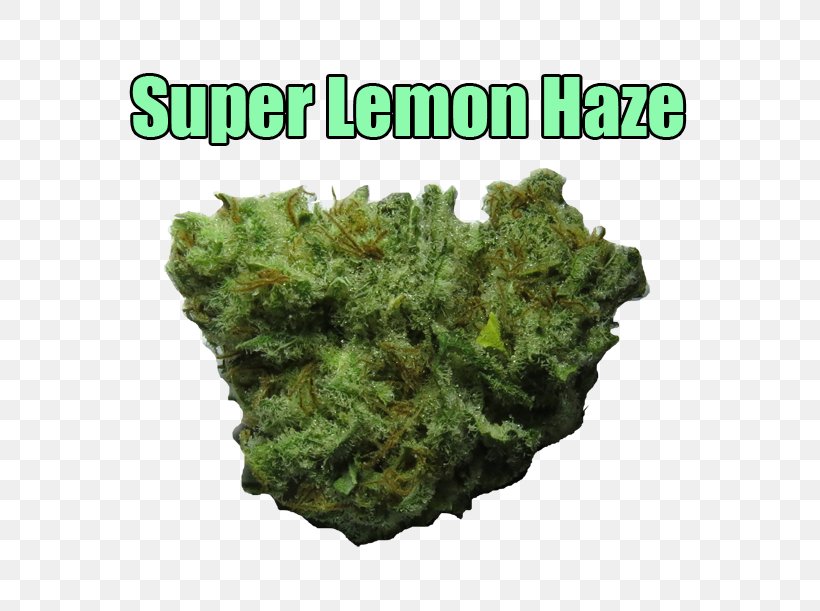 Haze Skunk Cannabis Sativa Flavor, PNG, 640x611px, Haze, Cannabis, Cannabis Sativa, Citrus, Flavor Download Free