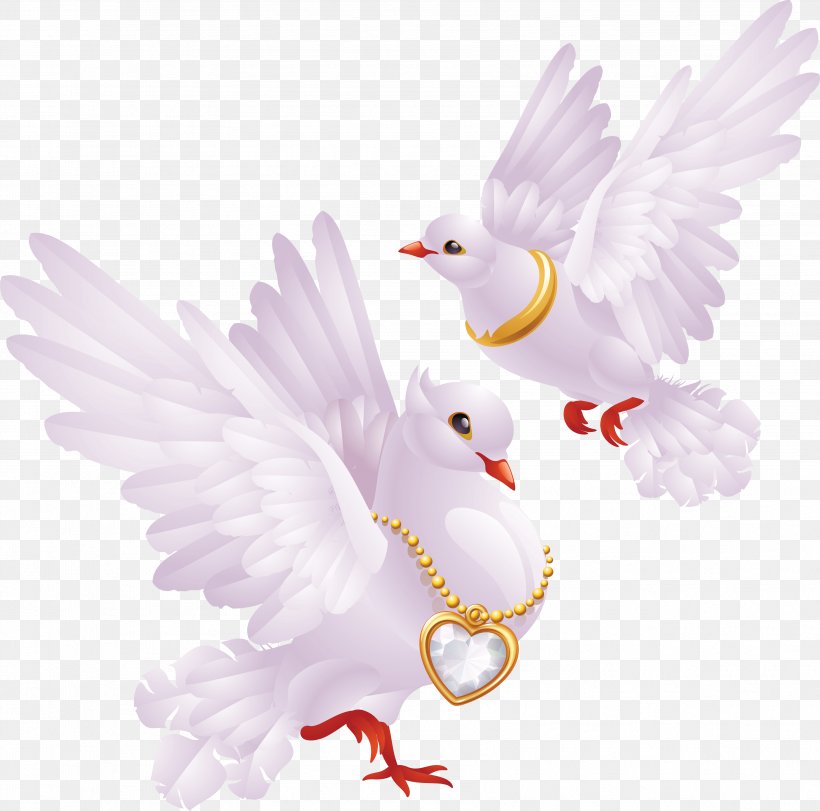 Columbidae Domestic Pigeon Release Dove Bird, PNG, 3551x3513px ...