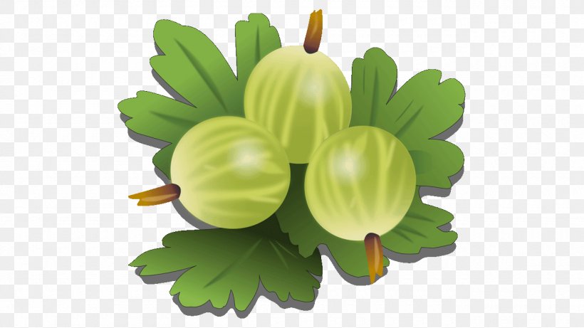 Gooseberry Fruit Vegetable Clip Art, PNG, 1280x720px, Gooseberry, Avocado, Berry, Cake, Food Download Free