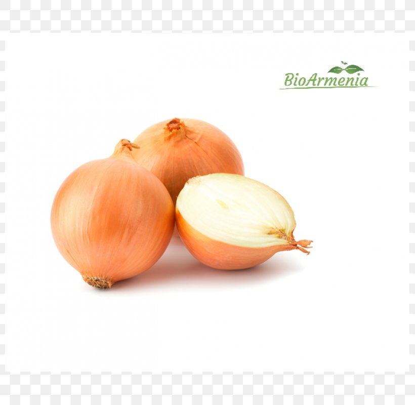 Yellow Onion White Onion Garlic Vegetable Shallot, PNG, 800x800px, Yellow Onion, Bell Pepper, Flavor, Food, Garlic Download Free