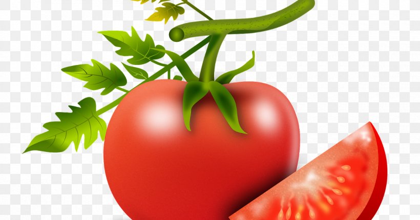 Tomato, PNG, 1200x630px, Natural Foods, Bush Tomato, Food, Fruit, Local Food Download Free