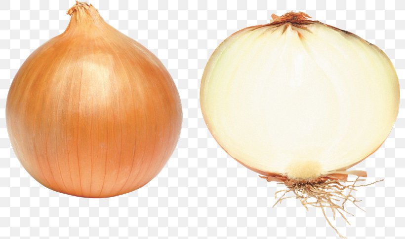 White Onion Red Onion Vegetable, PNG, 800x485px, Onion, Allium, Calabaza, Food, Garlic Download Free