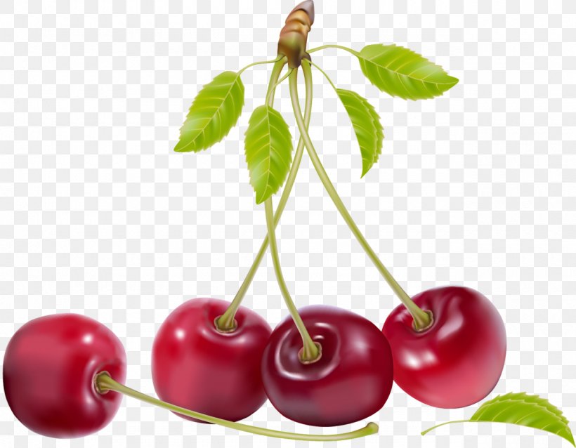 Cherry Fruit Clip Art, PNG, 1280x997px, Cherry, Acerola, Acerola Family, Apple, Berry Download Free