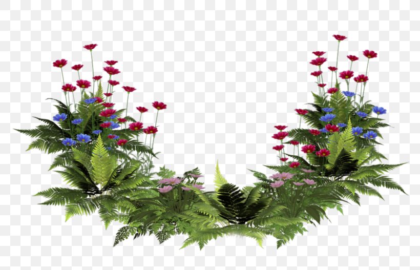 Flower Plant Clip Art, PNG, 800x527px, Flower, Christmas Decoration, Cut Flowers, Flora, Floral Design Download Free