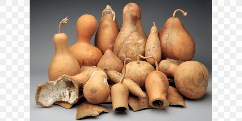 Gourd Mate Shallot Vegetable Calabash, PNG, 1200x600px, Gourd, Calabash, Carving, Craft, Cucurbita Download Free