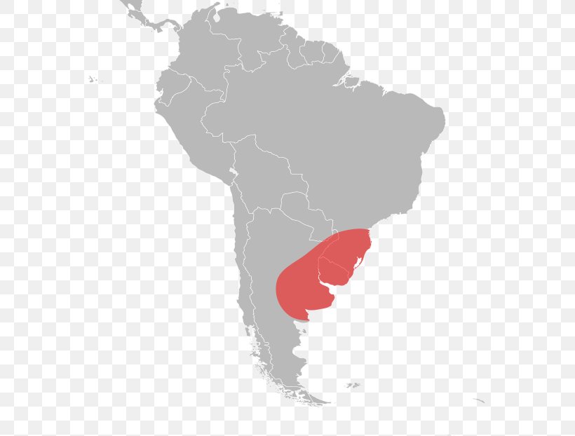 Latin America South America World Map, PNG, 567x622px, Latin America, Americas, Blank Map, Country, Geography Download Free