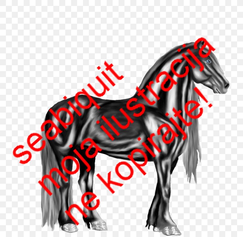 Mane Mustang Pony Halter Logo, PNG, 800x800px, Mane, Black And White, Design M, Fictional Character, Halter Download Free