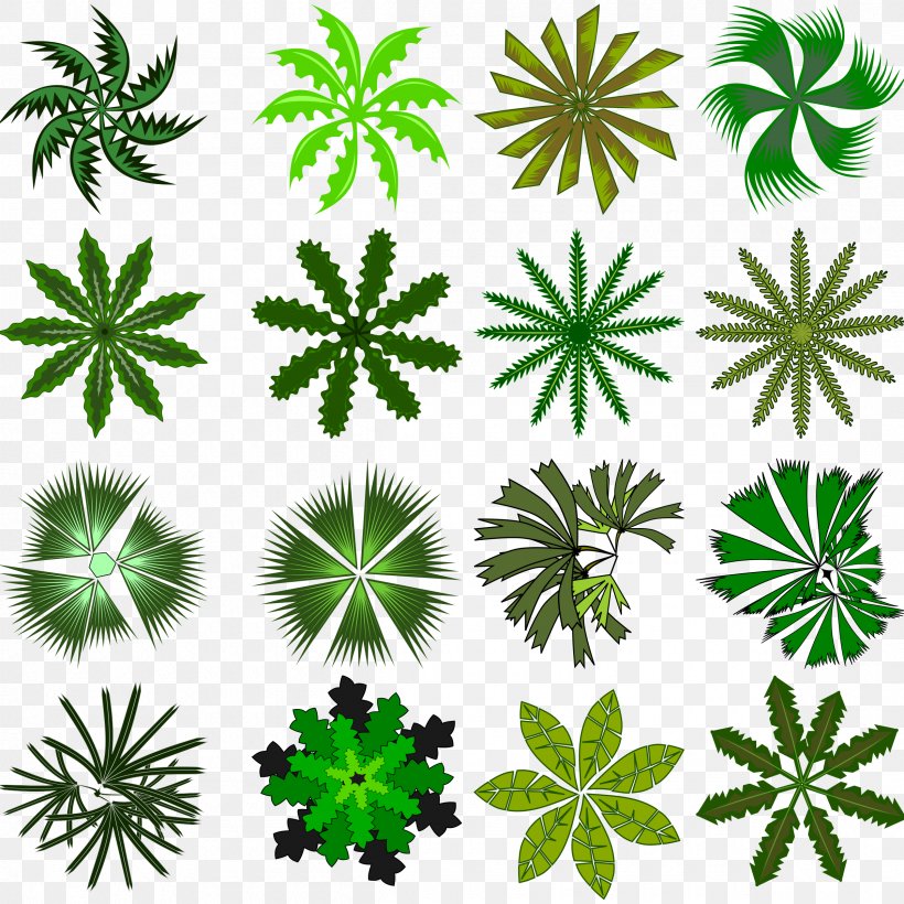 Arecaceae Tree Clip Art, PNG, 2400x2400px, Arecaceae, Arecales, Cannabis, Flora, Flower Download Free