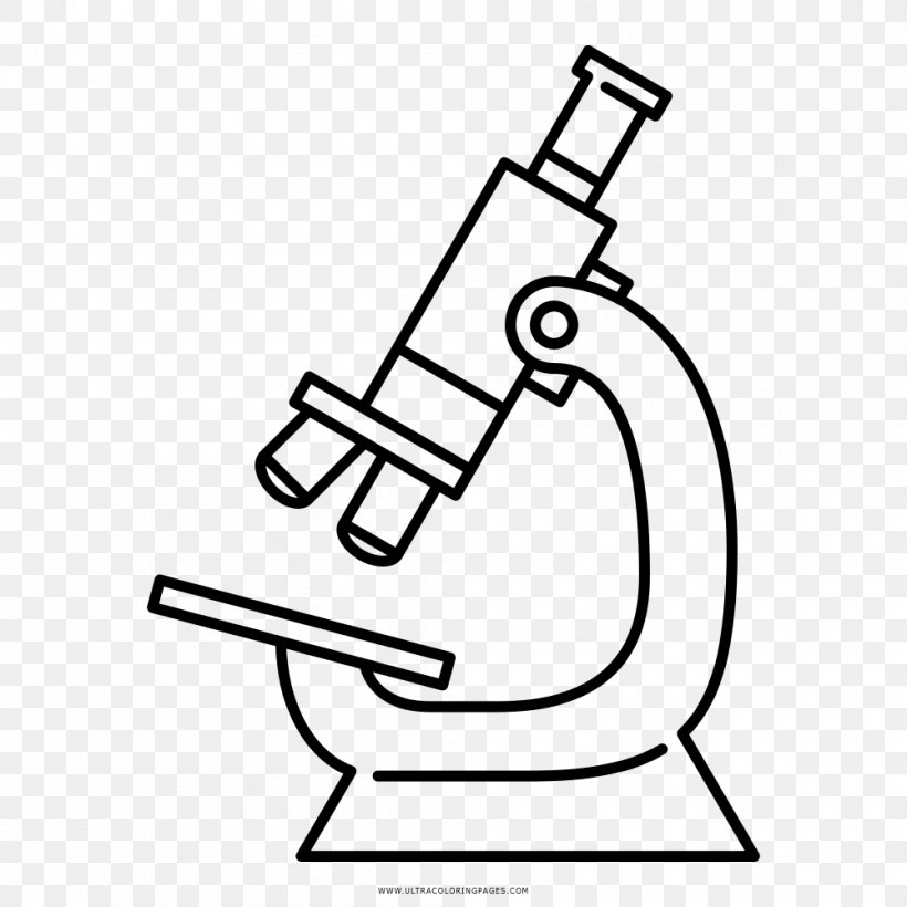 How to Draw a Microscope  Really Easy Drawing Tutorial