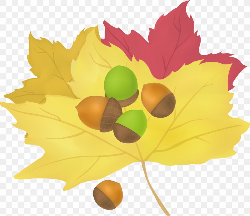 Maple Leaf Cartoon, PNG, 1200x1036px, Maple Leaf, Auglis, Autumn, Cartoon, Flower Download Free