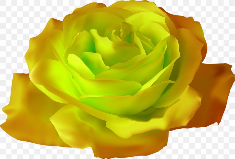 Rose Flower Clip Art, PNG, 1280x869px, Rose, Blossom, Bud, Cut Flowers, Flower Download Free