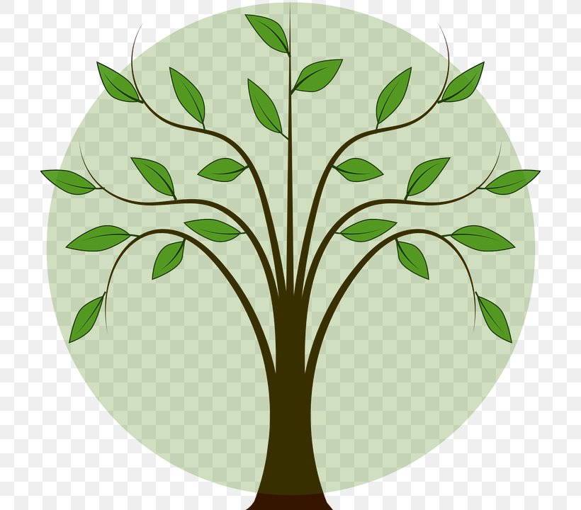 Branch Fall Tree Clip Art Vector Graphics, PNG, 706x720px, Branch, Cartoon, Fall Tree, Flora, Flower Download Free