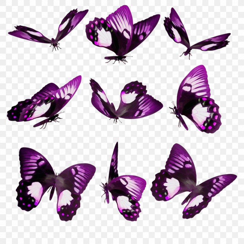 Butterfly Violet Purple Moths And Butterflies Insect, PNG, 900x900px, Watercolor, Butterfly, Insect, Lilac, Moths And Butterflies Download Free