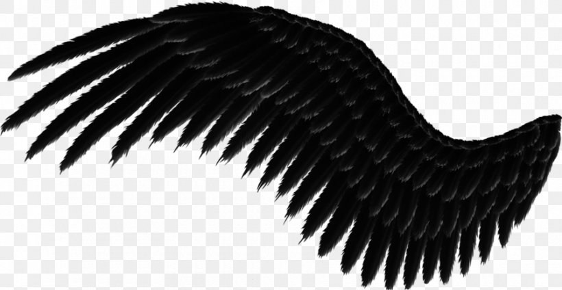 Clip Art, PNG, 900x466px, Hyperlink, Beak, Black And White, Feather, Image Resolution Download Free