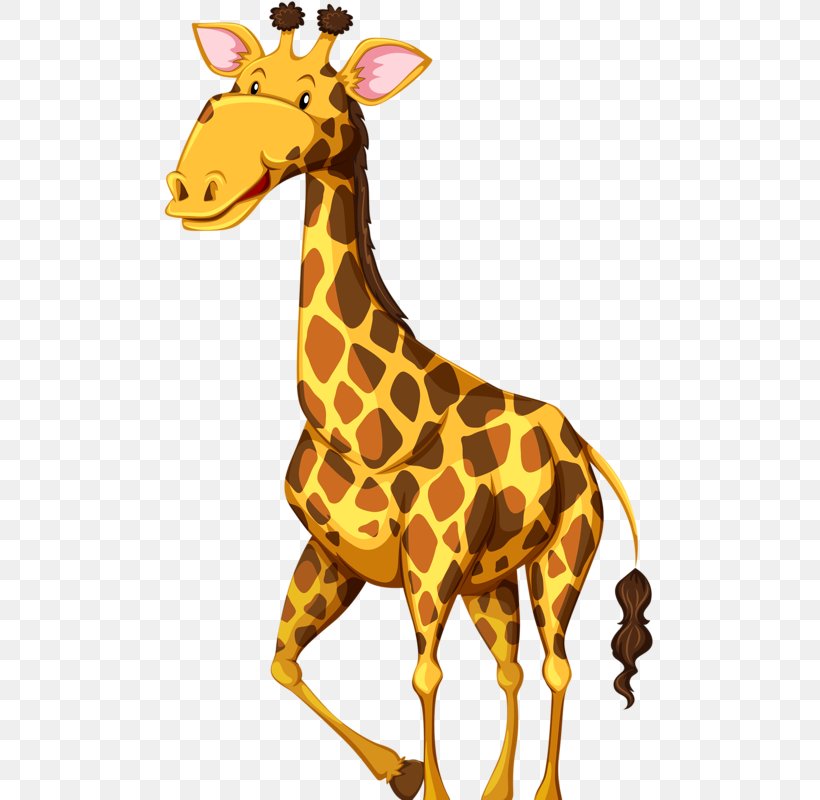 Giraffe Wildlife Royalty-free Illustration, PNG, 491x800px, Giraffe, Animal, Depositphotos, Fauna, Giraffidae Download Free