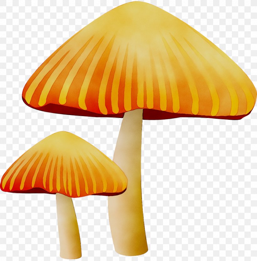 Stencil Fungus Paper Mushroom Pattern, PNG, 983x1000px, Stencil, Agaricaceae, Agaricomycetes, Agaricus, Ansichtkaart Download Free